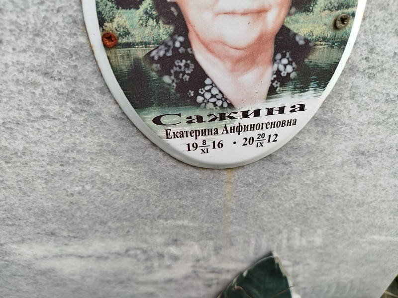Сажина