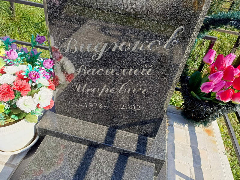 Видюков