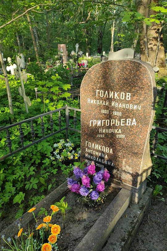 Голиков Николай Иванович