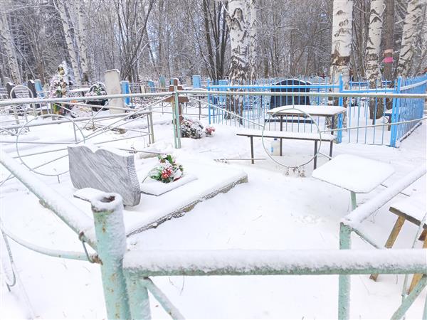 Комшилова Валентина Викторовна