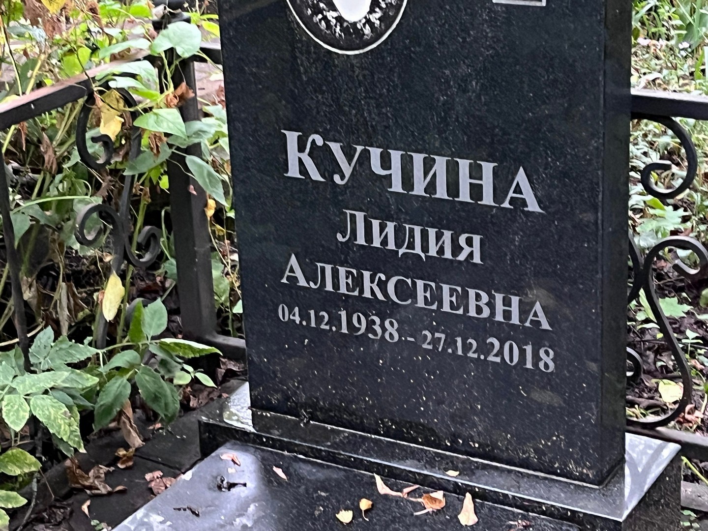 Кучина