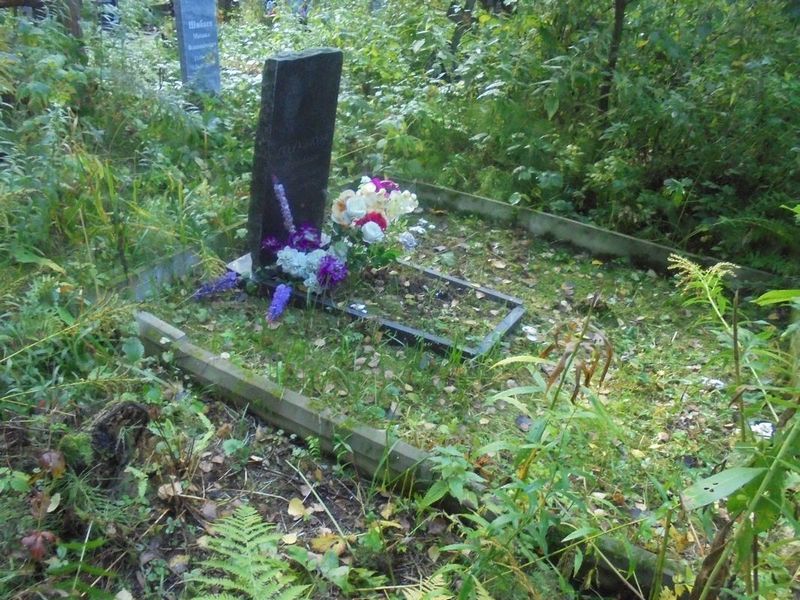 Голубков Николай Семенович
