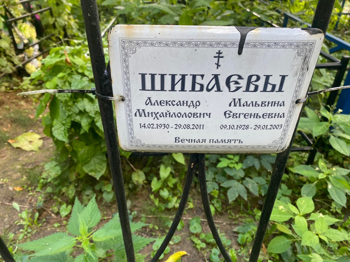 Мальвина Шибаева Евгеньевна