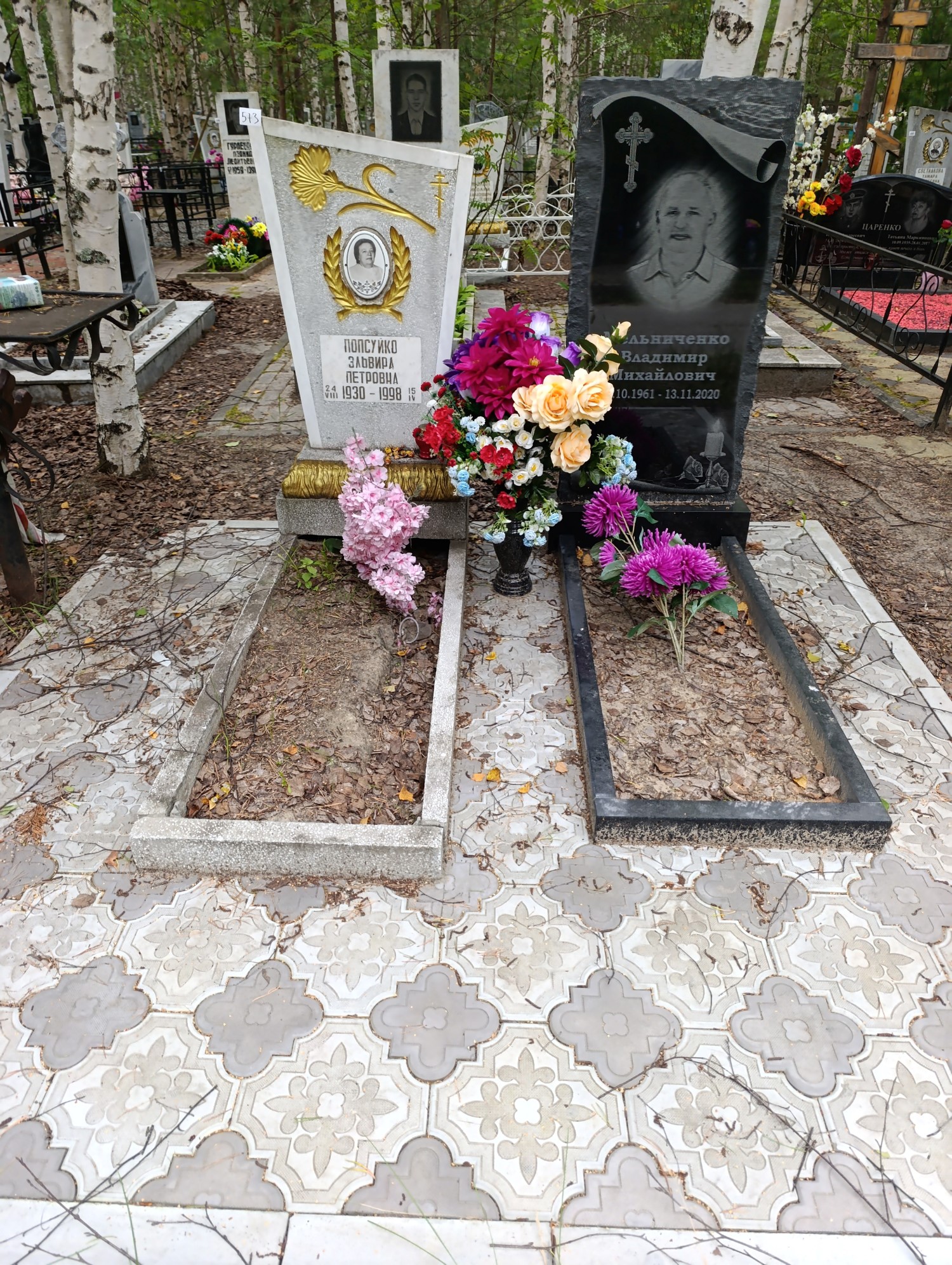 Попсуйко Эльвира Петровна