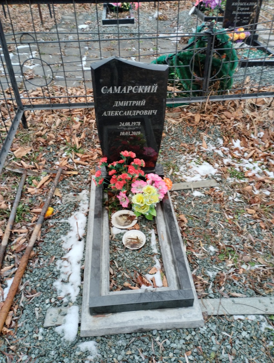 Самарский Дмитрий Александрович