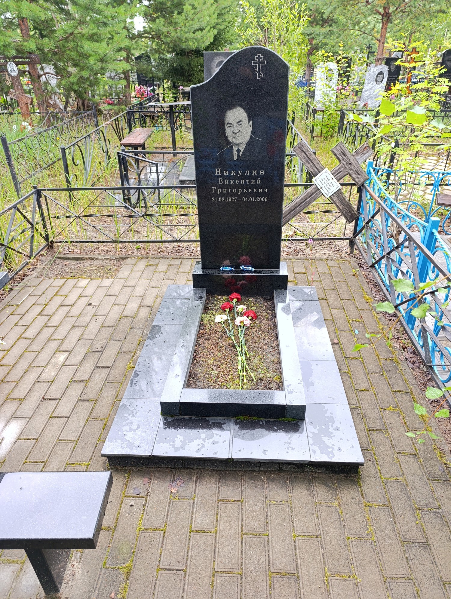 Никулин Викентий Григорьевич
