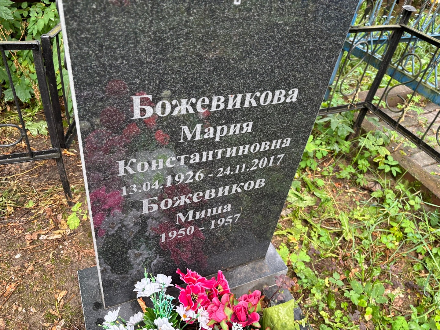 Божевиков Божевиков