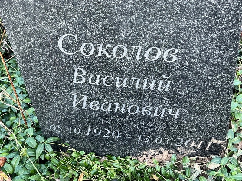 Соколов