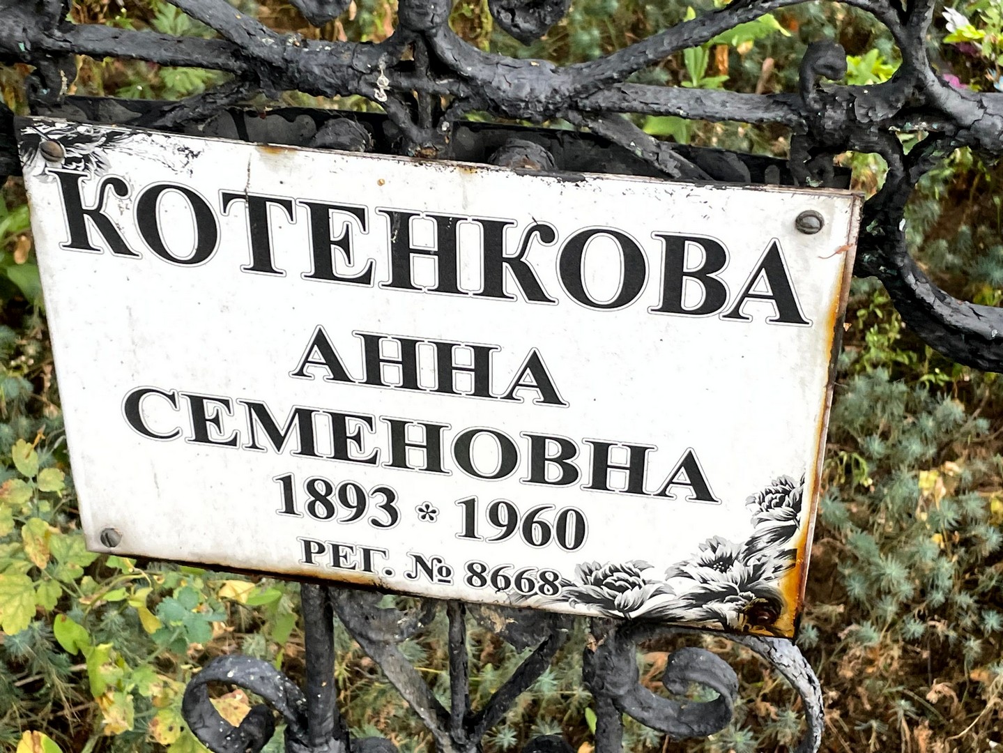 Котенкова