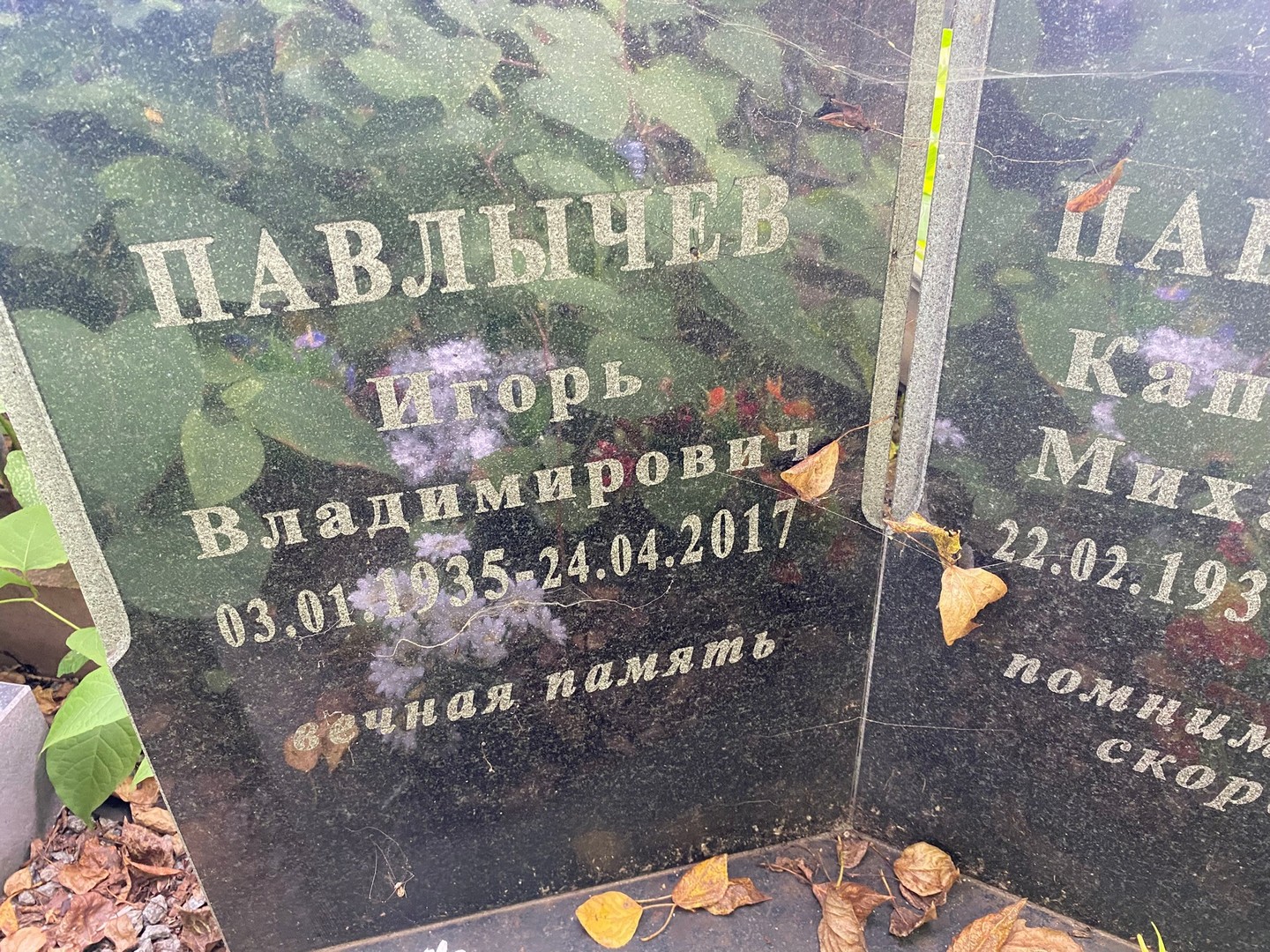 Павлычев