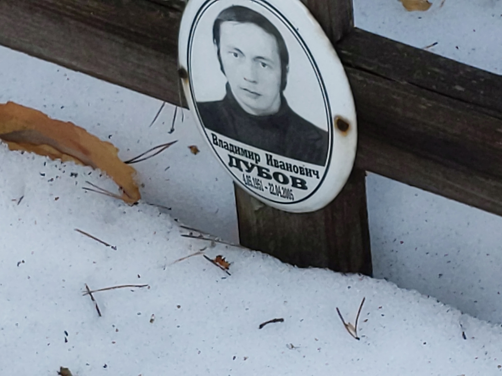 Дубов Владимир Иванович