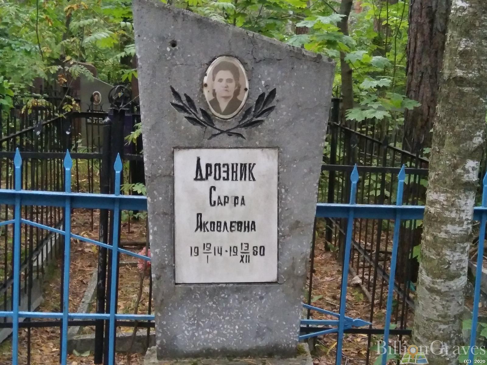 Дрозник Сарра (сарфа)