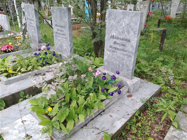 Молчанова Анна Трофимовна