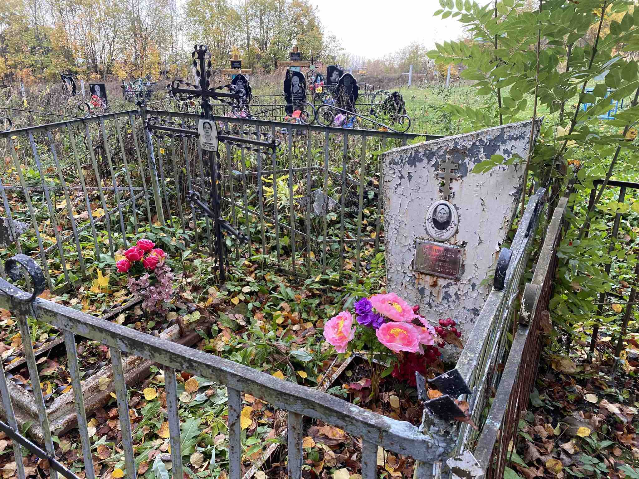 Лушникова Анастасия Яковлевна