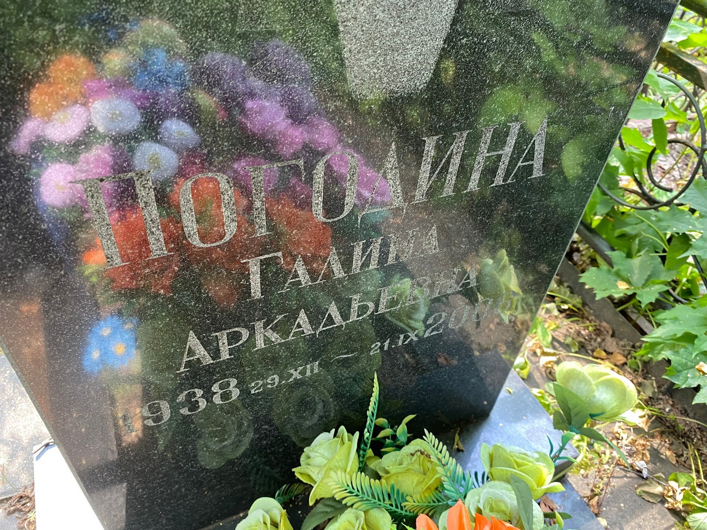 Погодина