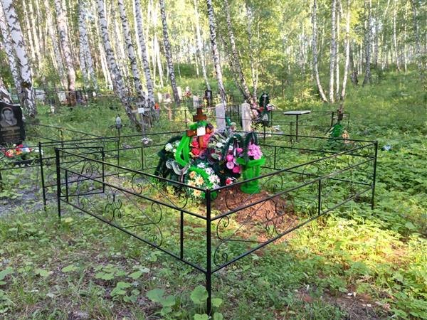 Пельменев Николай Анатольевич