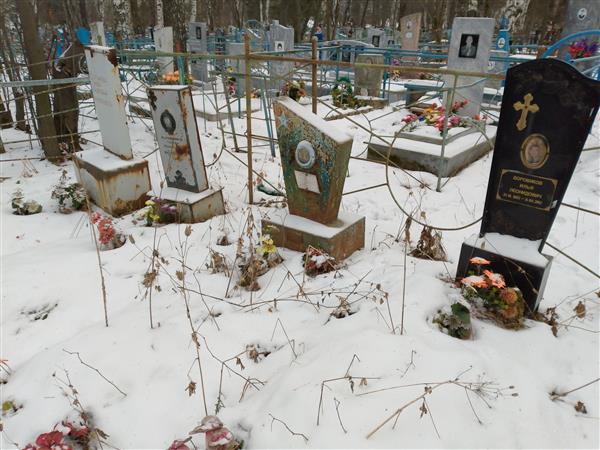 Боровиков Илья Леонидович