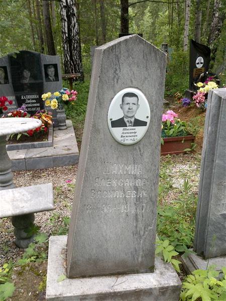 Шахмин Александр Васильевич