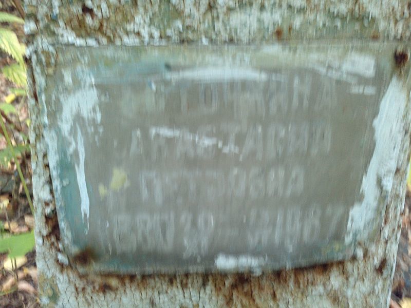 Сточкина Анастасия Петровна
