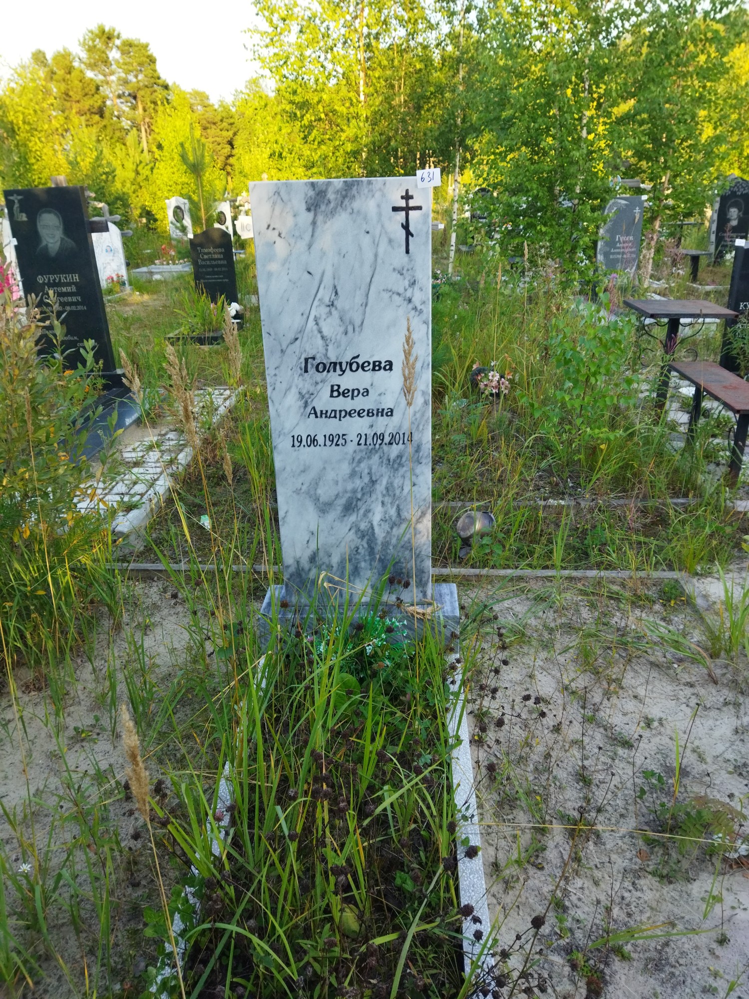 Голубева Вера Андреевна
