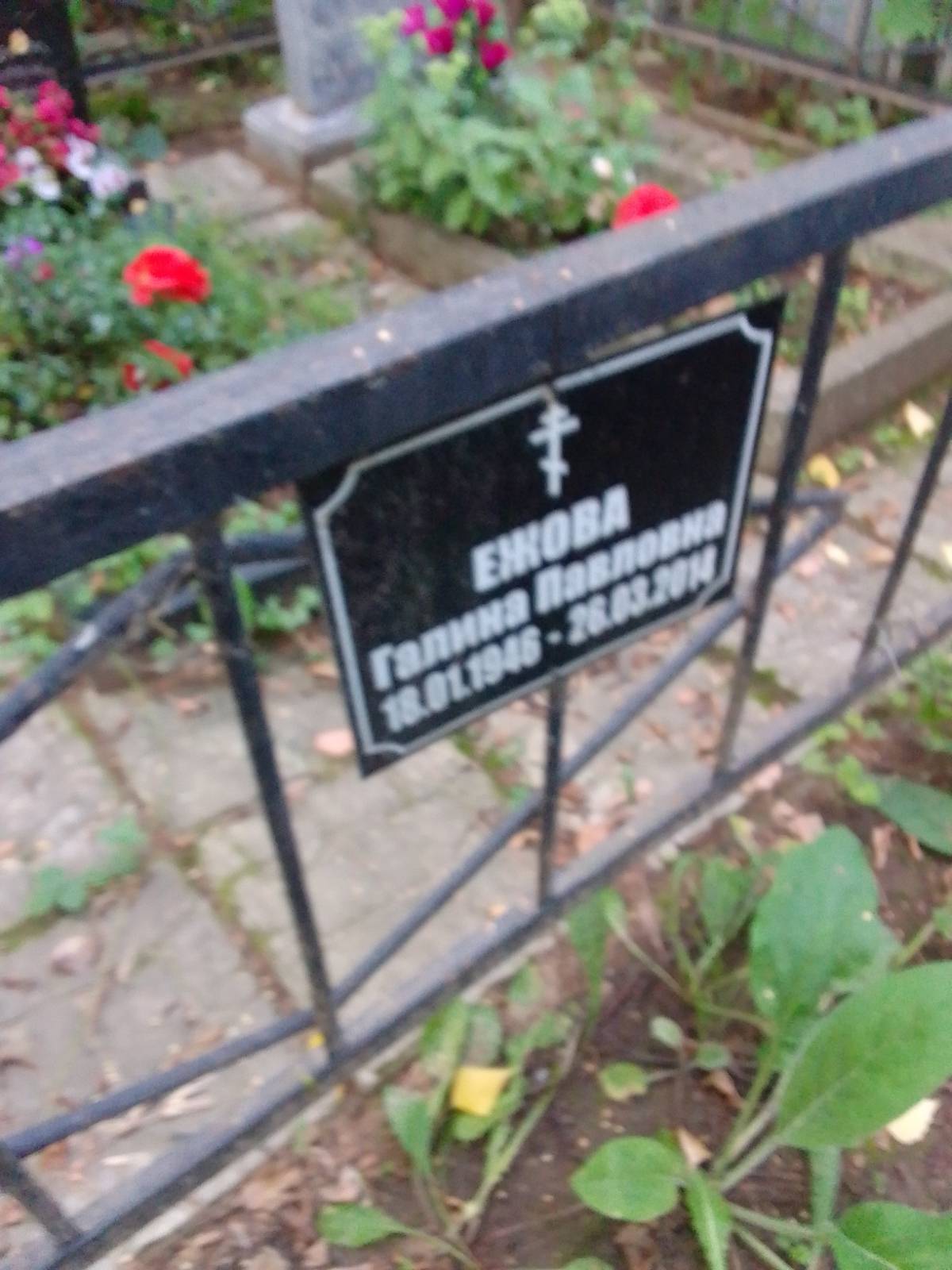 Ежова Галина Павловна