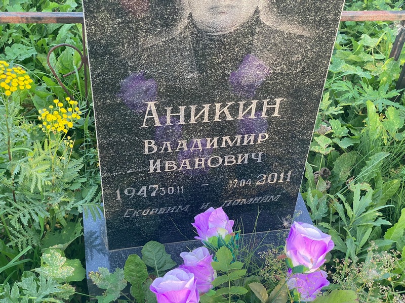 Аникин