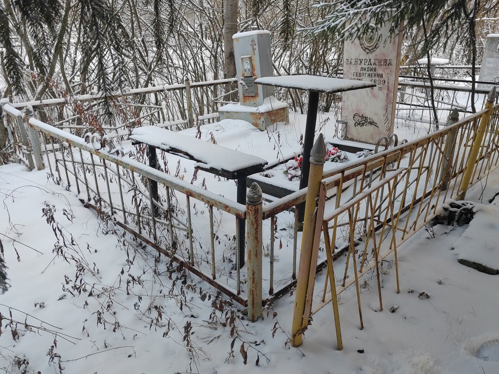 Забурдаева Лидия Георгиевна