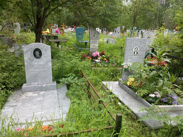 Шуталев Михаил Васильевич