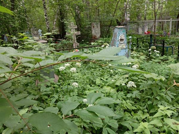 Круглеева Надежда Митрофановна