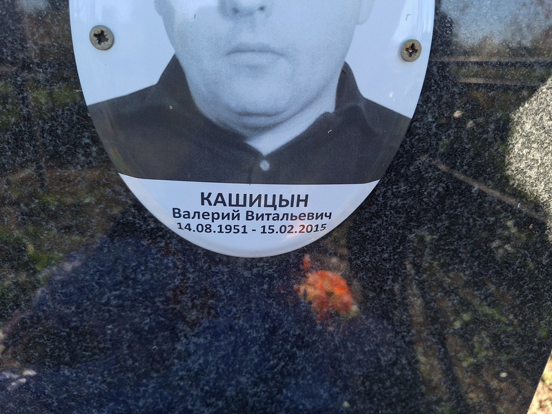 Кашицын