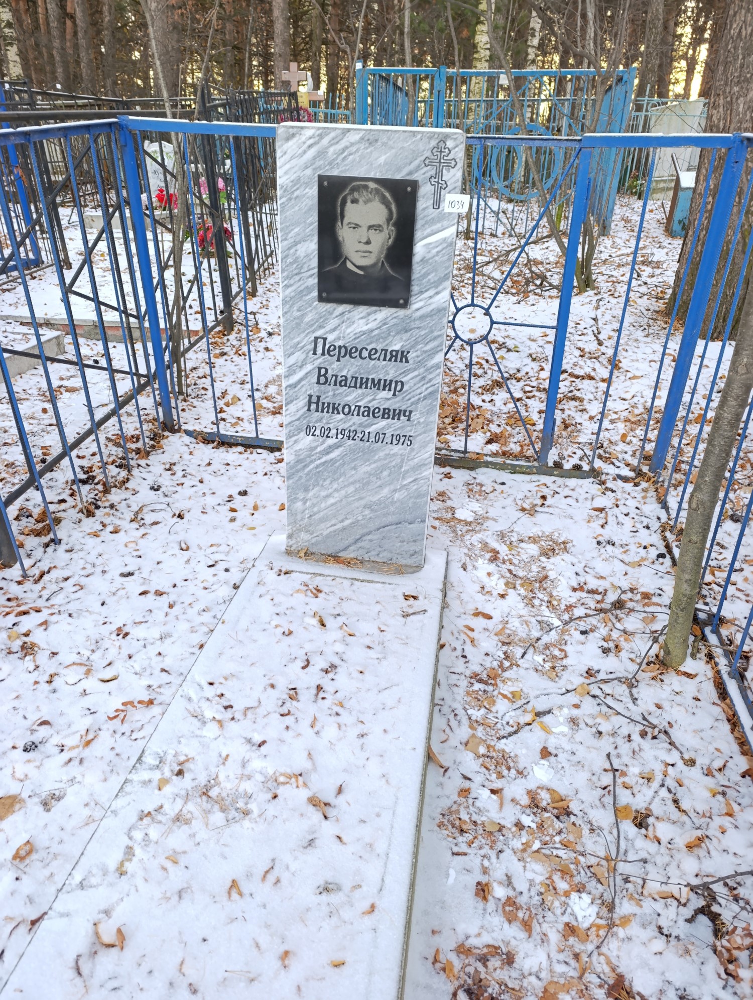 Переселяк Владимир Николаевич