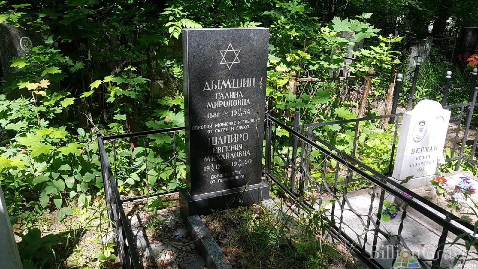 Дымшиц Галина Мироновна
