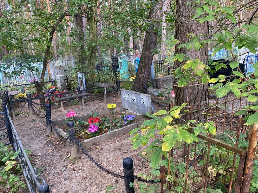 Петров Николай Михайлович