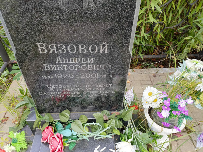 Вязовой