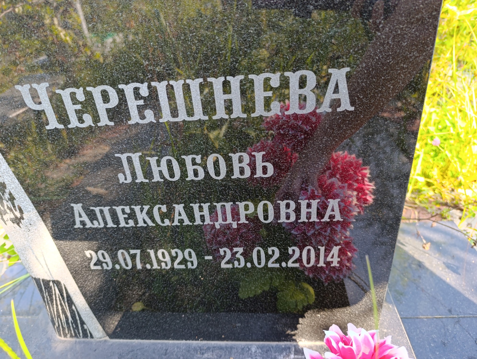 Черешнева Любовь Александровна