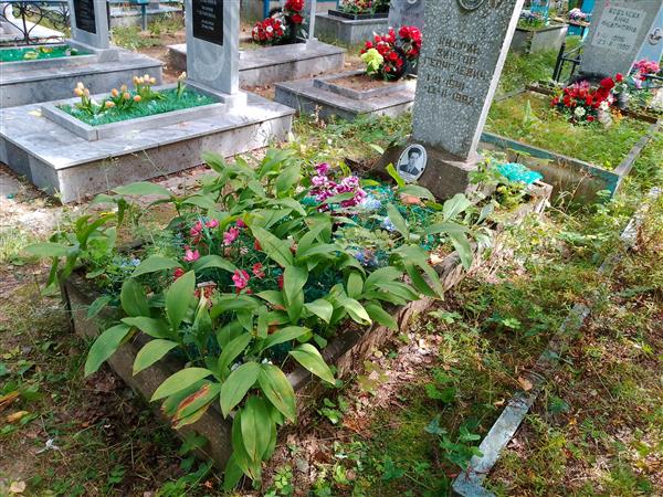 Кудрин Виктор Георгиевич