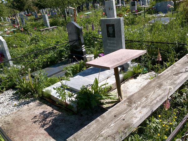 Ваганов Моисей Яковлевич