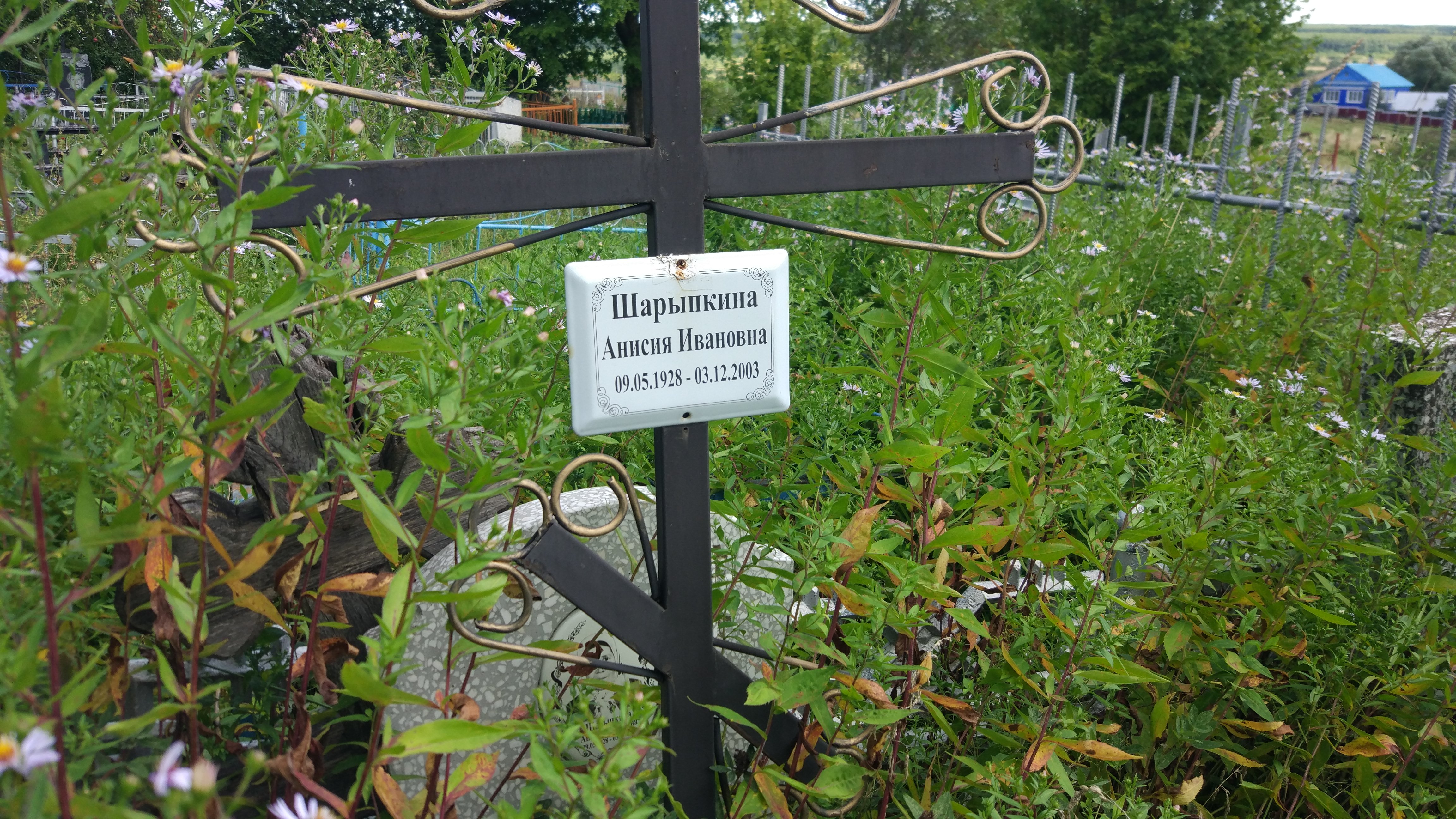 Шарыпкина Анисия Ивановна