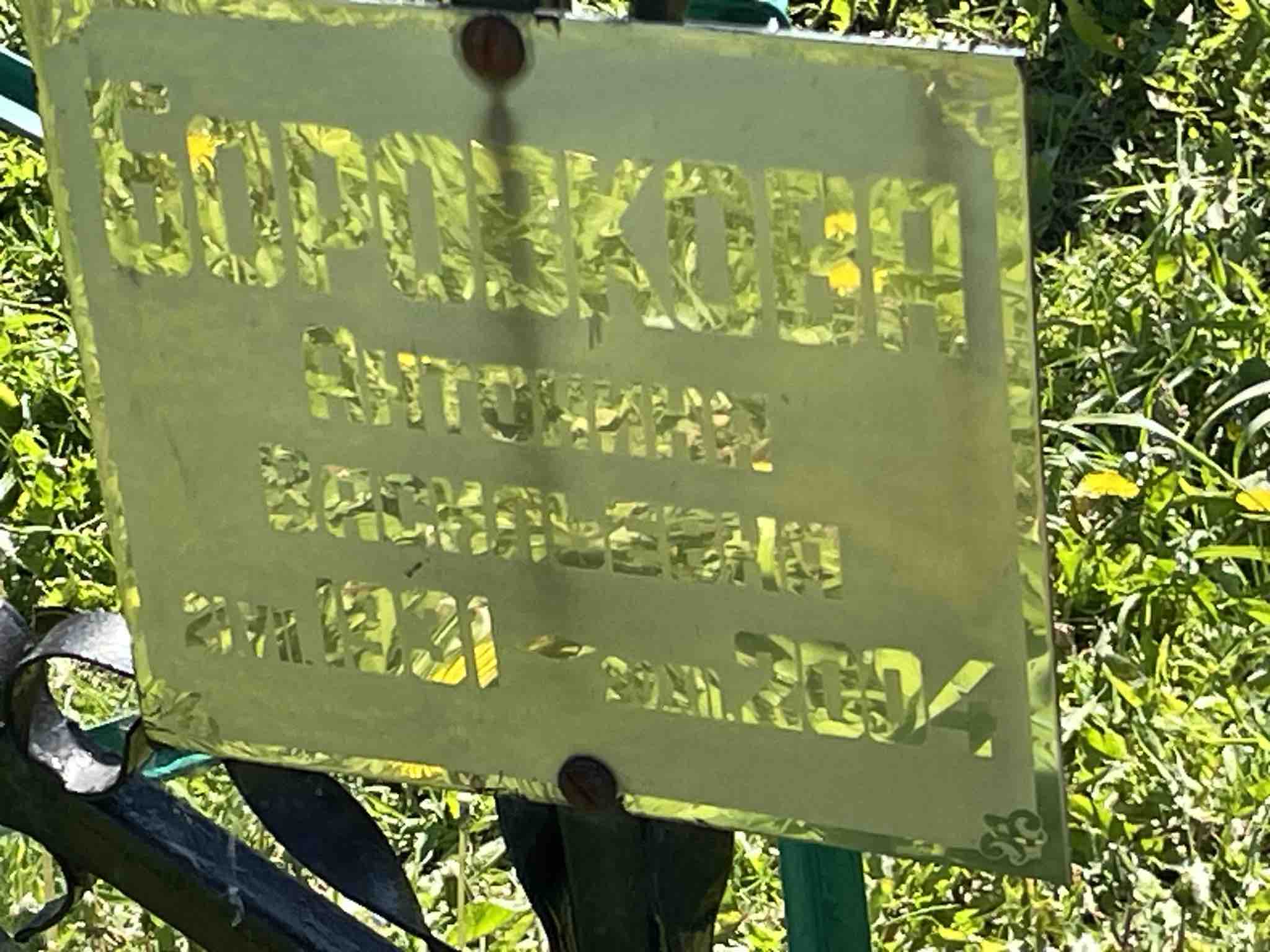 Боровкова Антонина Васильевна