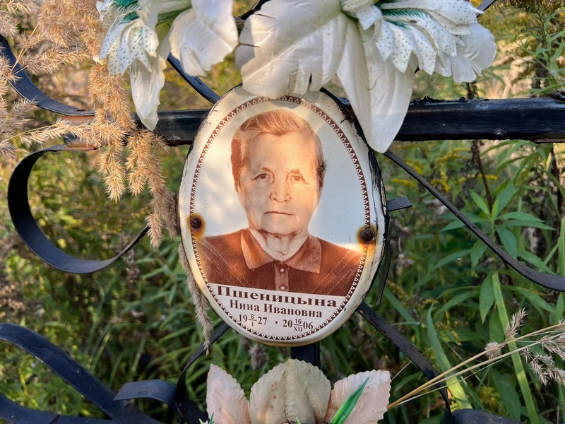 Пшеницына