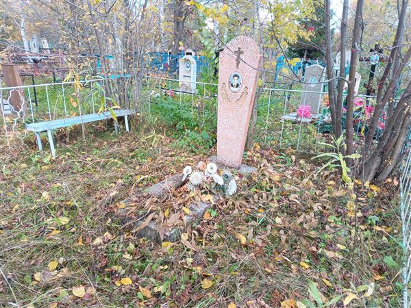 Сержантов Николай Николаевич