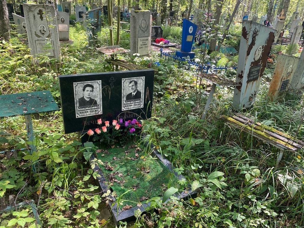 Спиридонова Татьяна Александровна