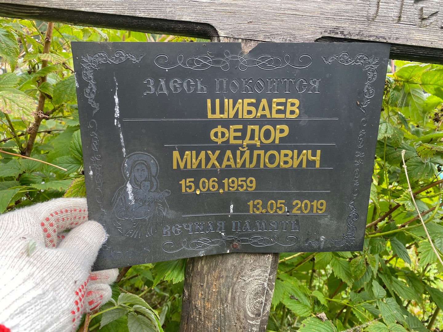 Шибаев