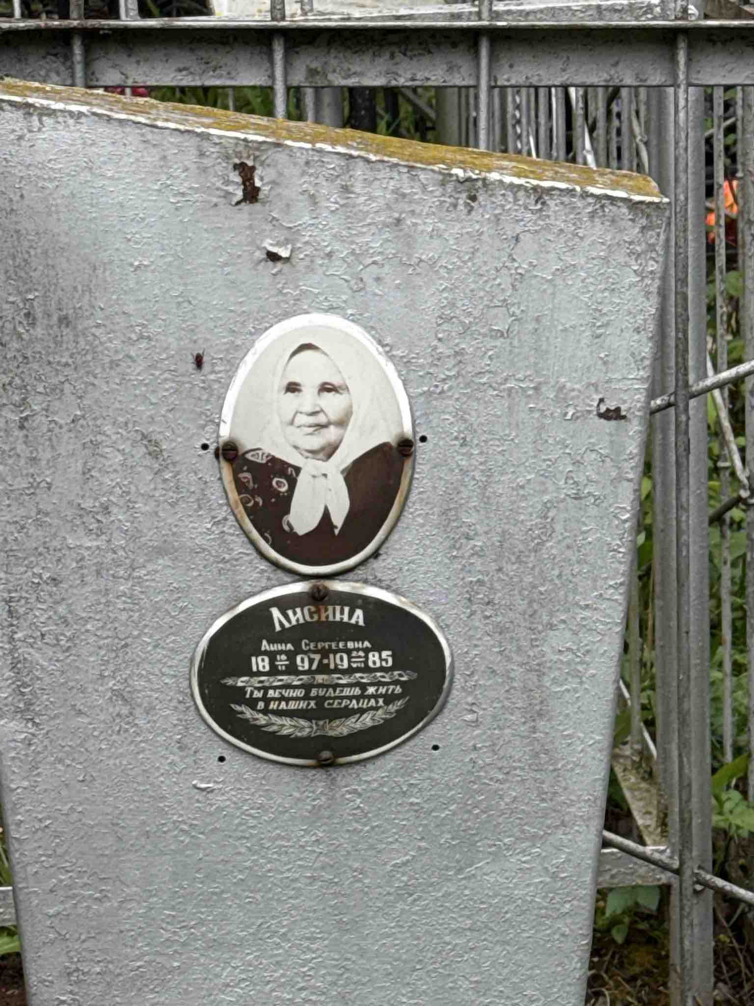 Лисина Анна Сергеевна