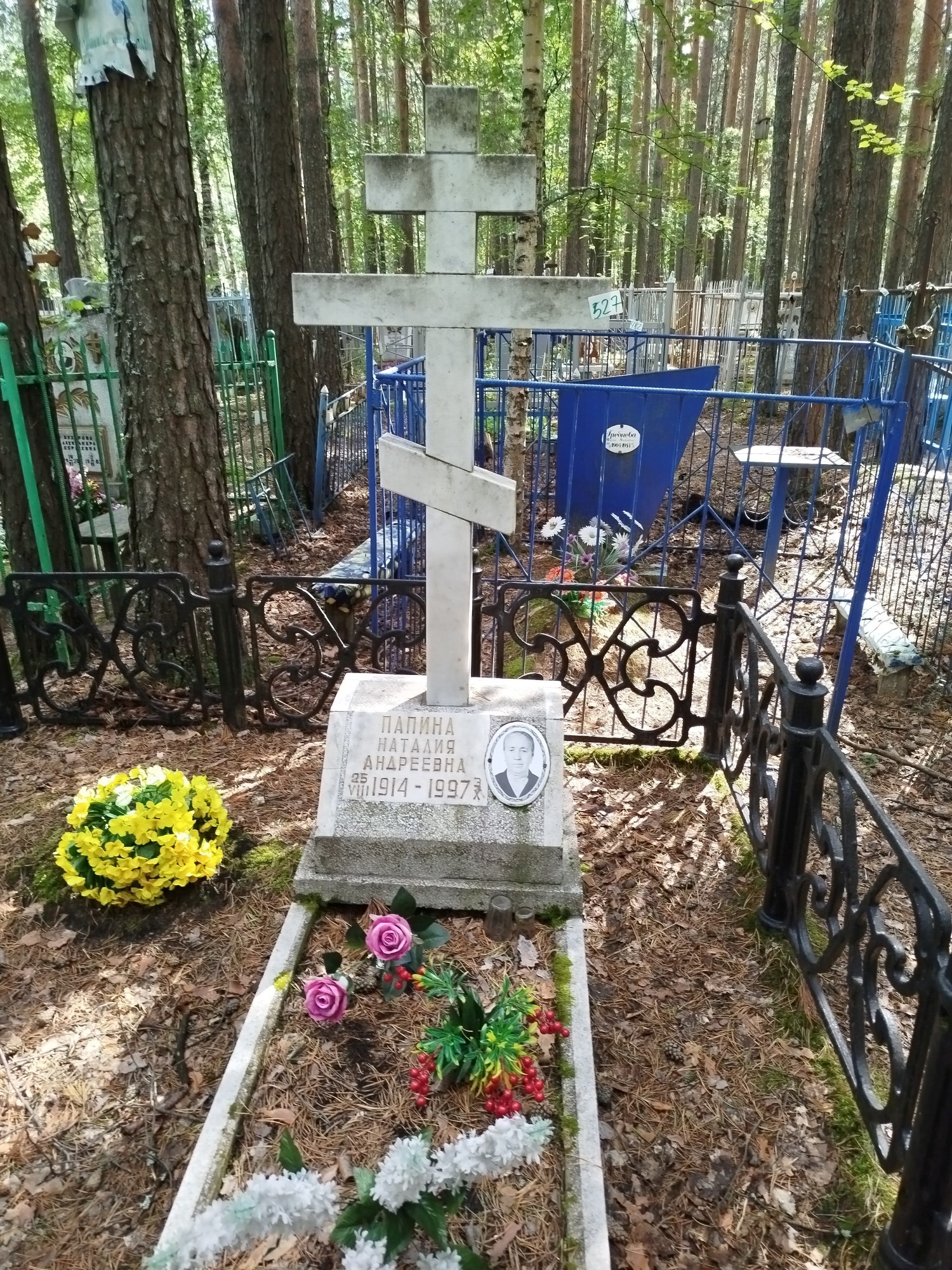 Папина Наталия Андреевна