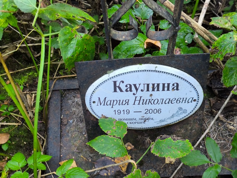 Каулина