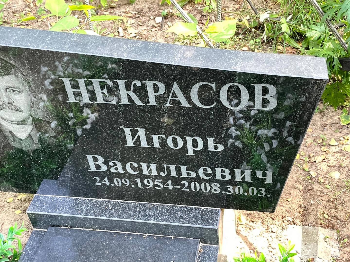 Некрасов