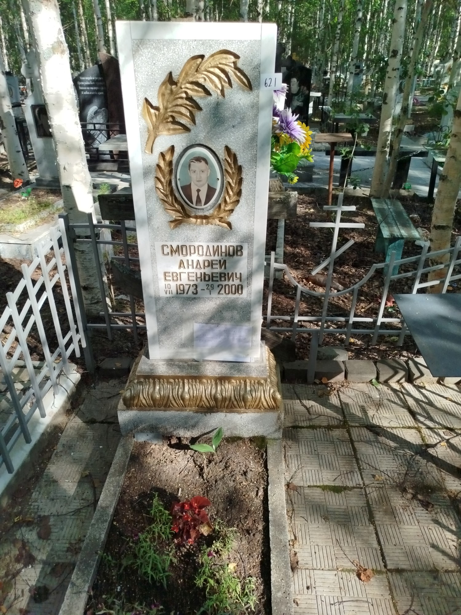 Смородинов Андрей Евгеньевич