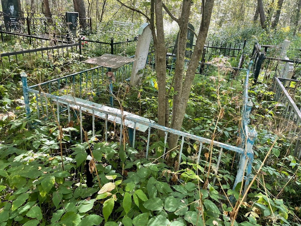 Селезнев Николай Сергеевич