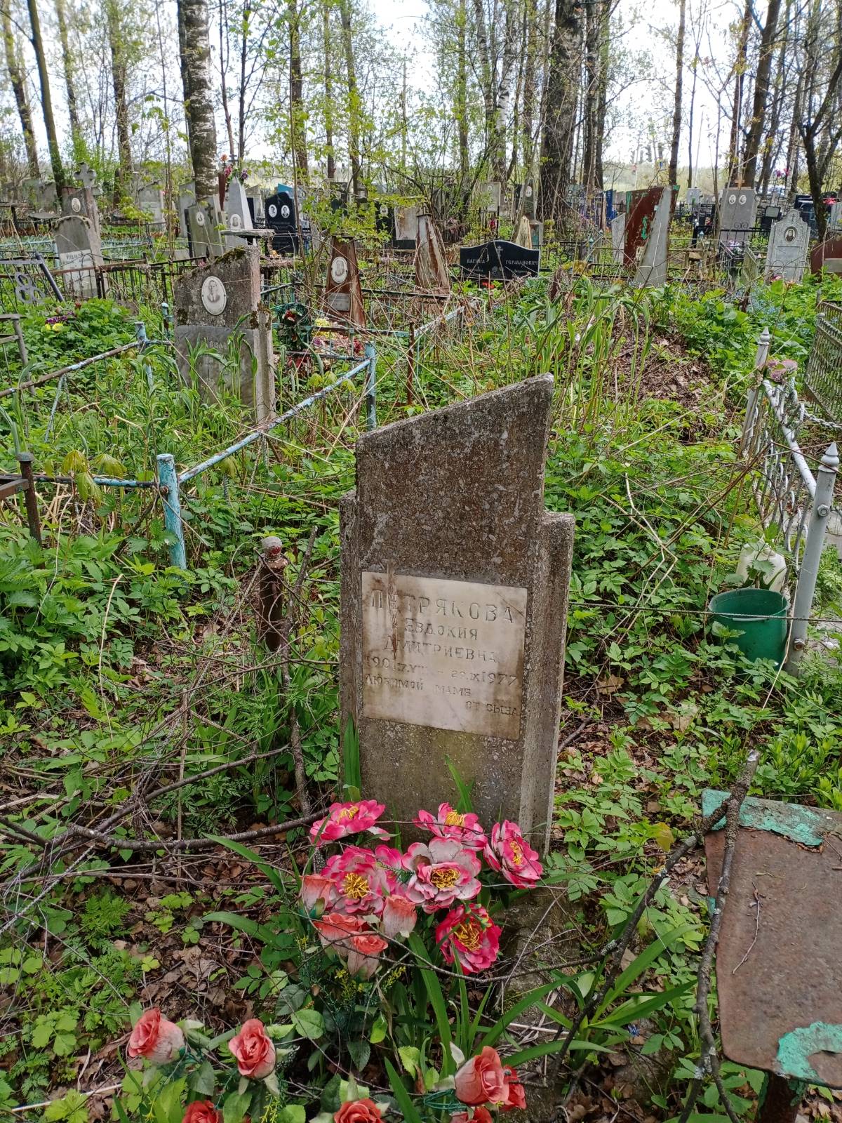 Петрякова Евдокия Дмитриевна